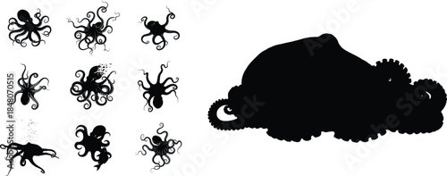 Collection of various octopus illustrations in black and color