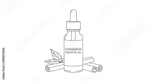 Cinnamon essential oil bottle with cinnamon sticks and leaves illustration