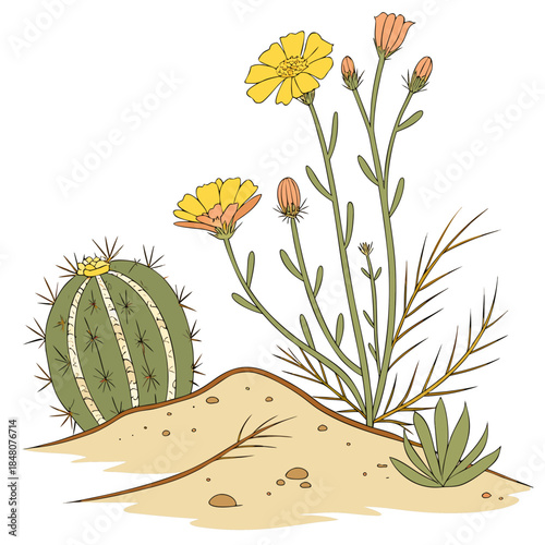 Desert wildflowers and cactus on sandy mound yellow flowers