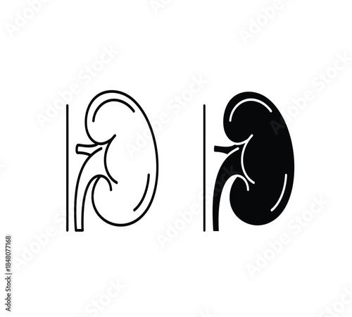 A detailed illustration showcases the human kidneys in both a schematic outline and a solid black representation highlighting internal structures