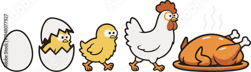 Life cycle of a chicken, humorous cartoon vector illustration