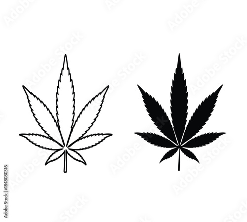 A simple illustration features two cannabis leaves one outlined and one solid black presented side by side on a stark white backdrop