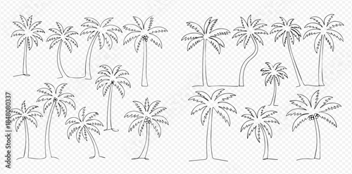 Set of hand drawn palm trees, outline doodle style tropical plants, summer vacation elements.
