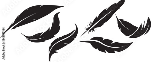 vector  of a feather feather, vector, drawing, art, symbol, design, icon, flying, leaf