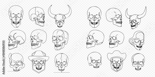 Collection of various human skull outlines in different angles and styles, including some with hats and horns, on a transparent background.