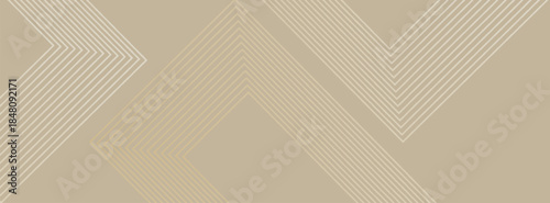 Modern line stripes curve abstract presentation background