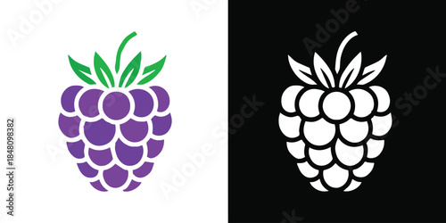 raspberry flat icon set berry symbol leaf stem illustration