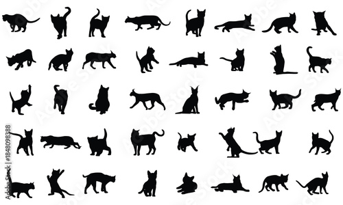 Collection of black cat and kitten silhouettes in various poses, isolated on white background. concept of pets, cute felines, domestic animal, playtime, design element. Set vector .