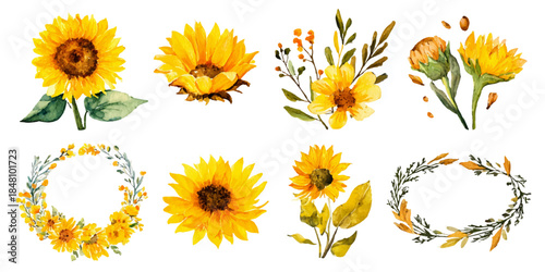 Watercolor sunflowers and floral wreaths Vector