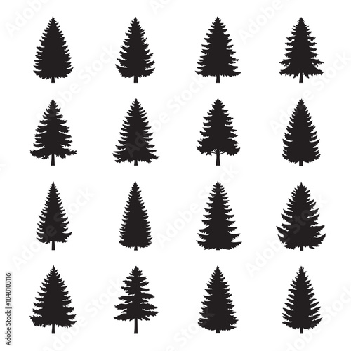 Black silhouette of multiple evergreen trees arranged in a grid pattern conifer