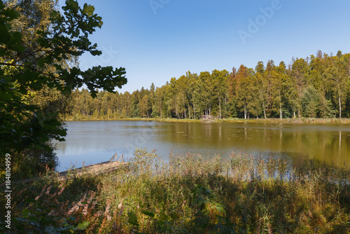 Calm Forest Lake with Clear Sky and Autumn Colors