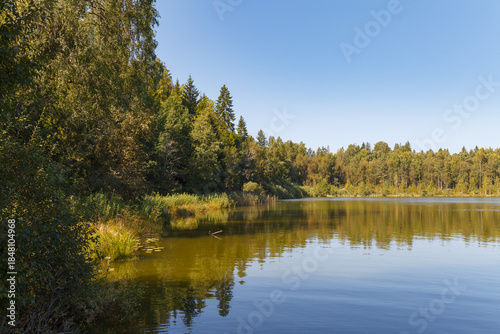 Sunny Forest Lake with Clear Reflections in Calm Water