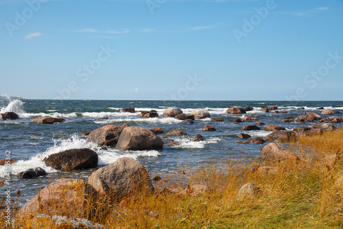 Rocky coastal meadow by the sea