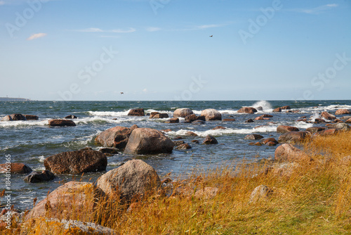 Rocky coastline with grassy foreground