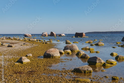 Rocky shoreline with stones in shallow coastal water at low tide