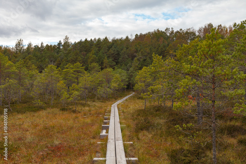 Boardwalk trail leading through forest and wetland terrain.