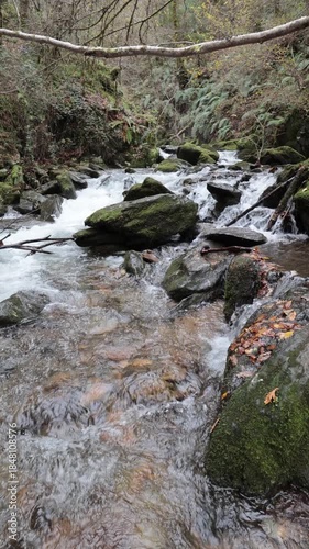 Forest stream flowing over mossy rocks in autumn