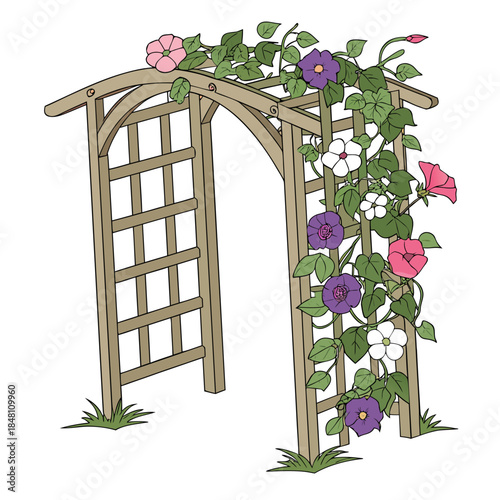 Wooden garden trellis with morning glories wooden trellis