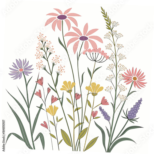 Colorful wildflowers with green stems and leaves