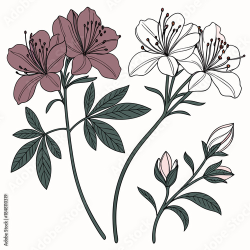 Vintage style flowers with green stems and leaves on white background