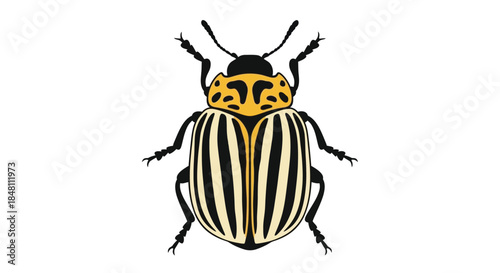 A detailed illustration of a striped beetle with prominent antennae and legs