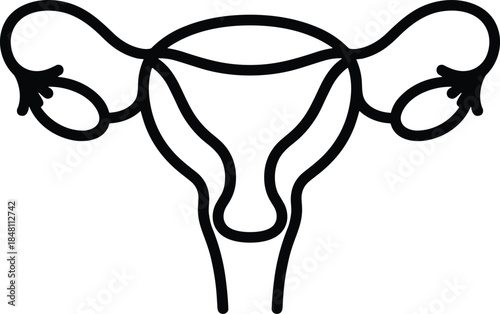 Uterus and fallopian tubes icon on white background womb female reproductive system