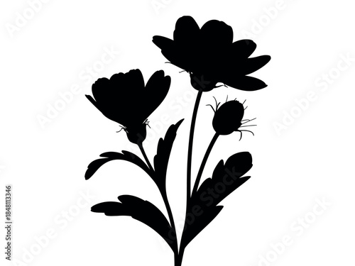 Black Silhouette of Blooming Flowers