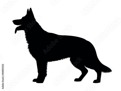 Black Silhouette of German Shepherd