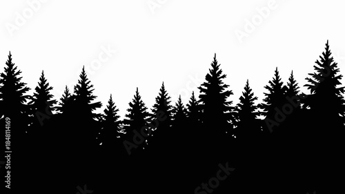 Silhouette of Evergreen Trees Against a White Background