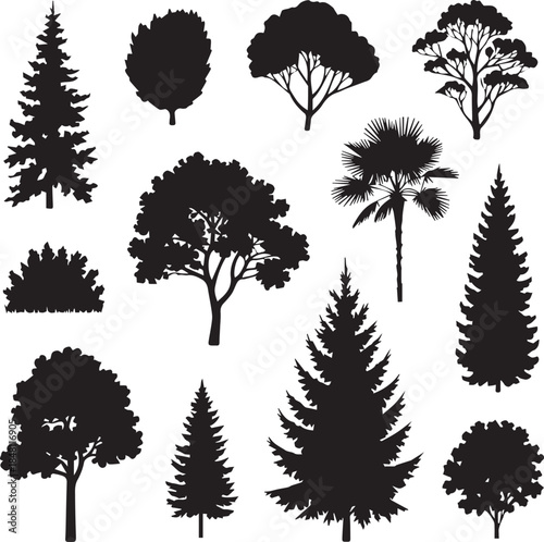 Tree Silhouettes Collection Nature Forest Scene
