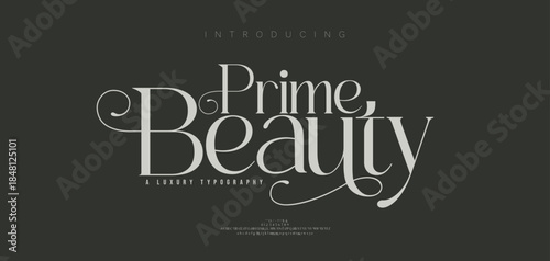 Luxury elegant alphabet letters logo font and number. Classic Modern Serif Lettering Minimal Fashion. Typography decoration fonts for, wedding, logos. vector illustration