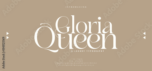 Luxury sans serif alphabet letters font and number. Classic Lettering Minimal Fashion Designs. Typography decorative wedding fonts and logo. vector illustration