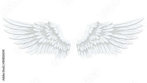 Elegant white feathered wings are spread symmetrically against a clean background, evoking themes of freedom, spirituality, and angelic beauty.