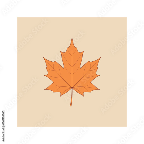 Single maple leaf on beige background Vector