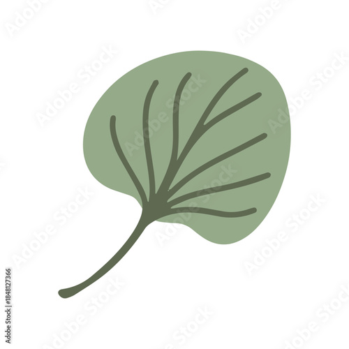 A single broad green leaf with a rounded or heart-like shape and visible dark veins. A simple botanical foliage element representing spring nature, garden plants, or eco themes.