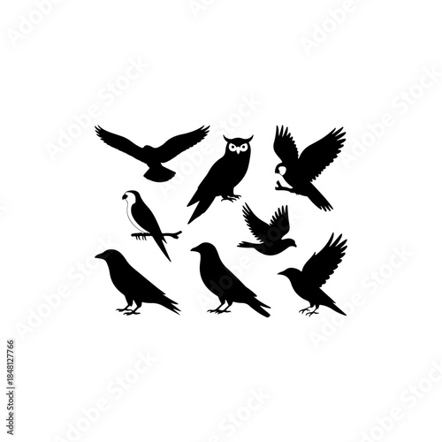 8 bird icon bundle  eagle, owl, parrot, dove, crow, solid black silhouettes, vector, white background”