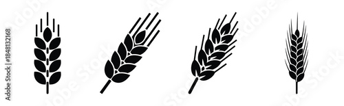 barley wheat silhouette icon vector set