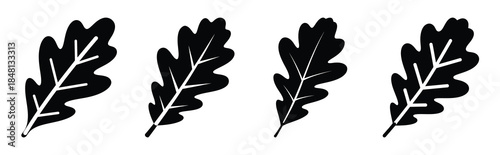 Fotografía oak leaf silhouette icon vector set