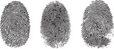 realistic human fingerprints , fingerprints silhouette