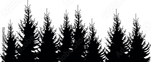 Black silhouette of a spruce forest isolated on white background	