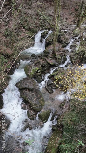 Water rushing over moss-covered stones in a woodland river scene