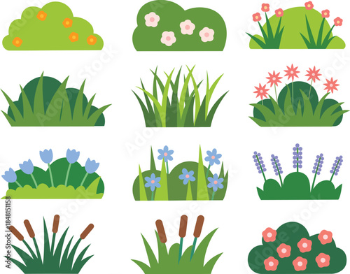 Set of Colorful Garden Foliage and Blooming Plant Graphic Elements