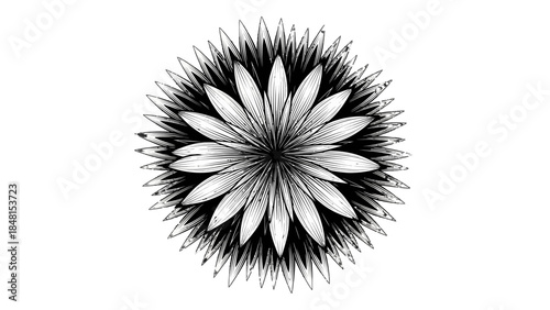 Floral Symmetry: An elegant illustration of a perfectly symmetrical flower showcases the beauty and precision found in nature's design.