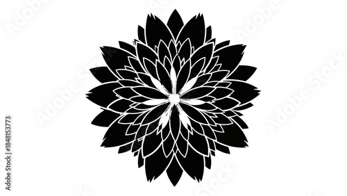 Monochrome Floral Silhouette: An elegant, black and white artistic representation of a symmetrical flower, showcasing intricate details and delicate petals against a clean backdrop.