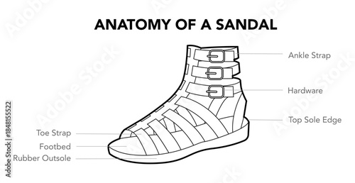 Sandal anatomy diagram. Ankle strap, hardware and toe construction for apparel industry, design and footwear specification. Technical fashion illustration CAD mockup vector men isolated trendy style.