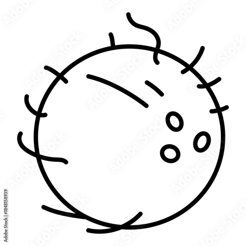 Vector Outline Icon - Coconut