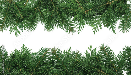 Green pine branch festive border, blank white background, Christmas frame design, winter holiday card template, seasonal greeting layout, decoration
