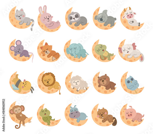 Sleeping animal character set in scandinavian style showing adorable creatures resting on crescent moons during calm night moments and peaceful dreamy bedtime scenes