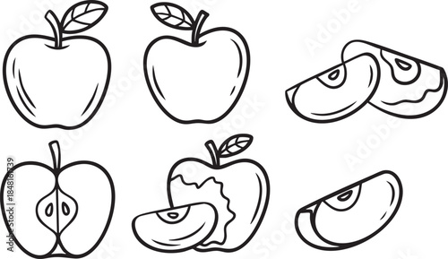 Collection of hand drawn apple illustrations in various states Vector, illustration