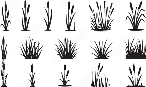 Collection of various black silhouette cattail plants Vector, illustration